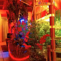 Studio Artemis - photo 2