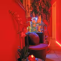 Studio Artemis - photo 4