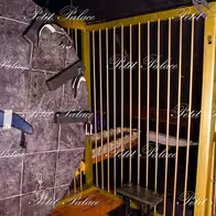 Petit Palace - photo 4