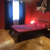 Bunnyhouse Olten - photo 2