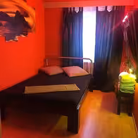 Bunnyhouse Olten - photo 4