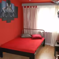 Bunnyhouse Olten - photo 5