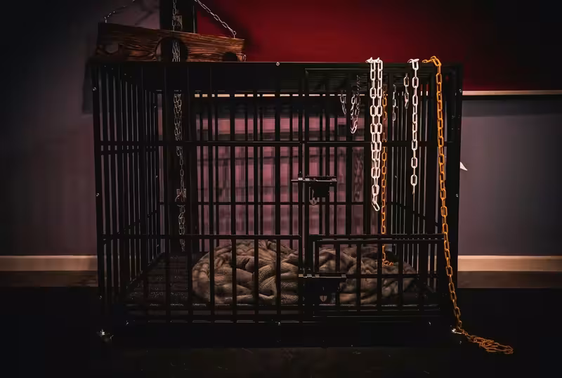The Scarlet Chamber - photo 1