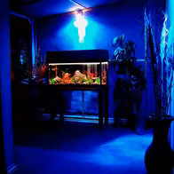 Enroque Club - photo 4