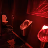 Showgirls Stripclub - Brisbane - photo 3