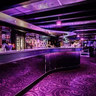 Club Vixen - Bar And Entertainment - photo 4