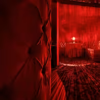Venus Milano Centro - Luxury Strip Night Club / Vip Area Privé - Location Eventi - photo 24