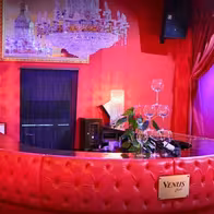 Venus Milano Centro - Luxury Strip Night Club / Vip Area Privé - Location Eventi - photo 7