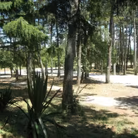 New Divina Club - photo 25