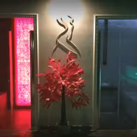 Harem Club Privè Milano - photo 10