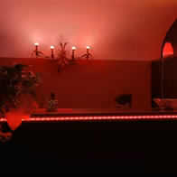 Paprika Club - photo 4